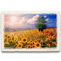 Amazon.co.jp: Natural Memories 玄関に飾ると運気が上がる絵画 和紙の